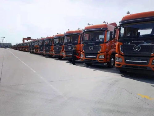 陜汽重卡 價(jià)值引領(lǐng)贏市場(chǎng)，品質(zhì)營(yíng)銷交付忙，助力國(guó)內(nèi)貨物運(yùn)輸代理蓬勃發(fā)展